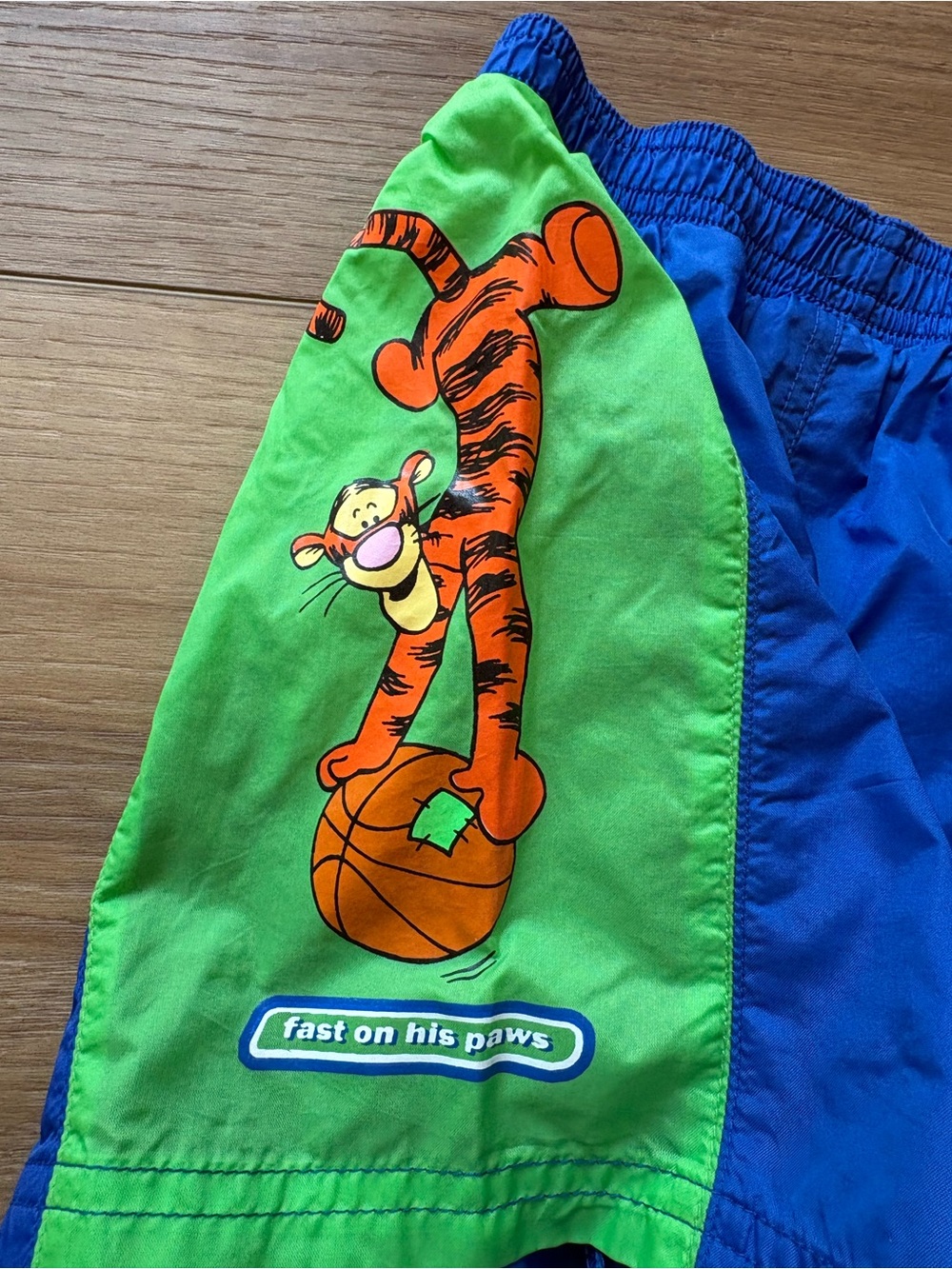 Blue and Green Kids Swim Trunks with Tigger Graphic - Picture 5 of 6